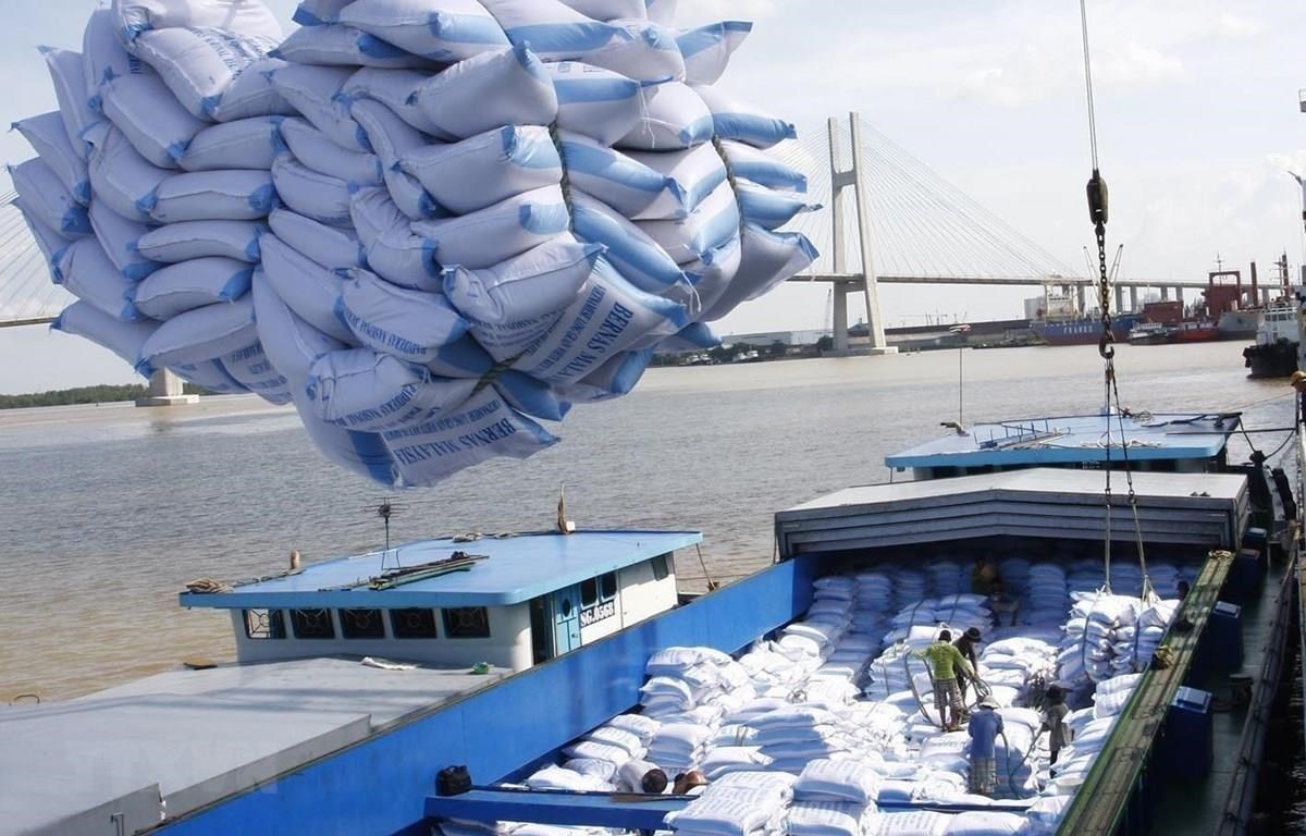 Trước 'cơn sốt' giá trên toàn cầu, Bộ NN&PTNT kiến nghị Thủ tướng ra chỉ thị về xuất khẩu gạo trong tình hình mới