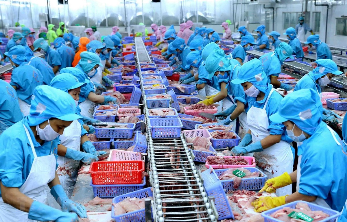 ‘Vua tôm’ và ‘nữ hoàng cá tra’ đang kinh doanh ra sao?