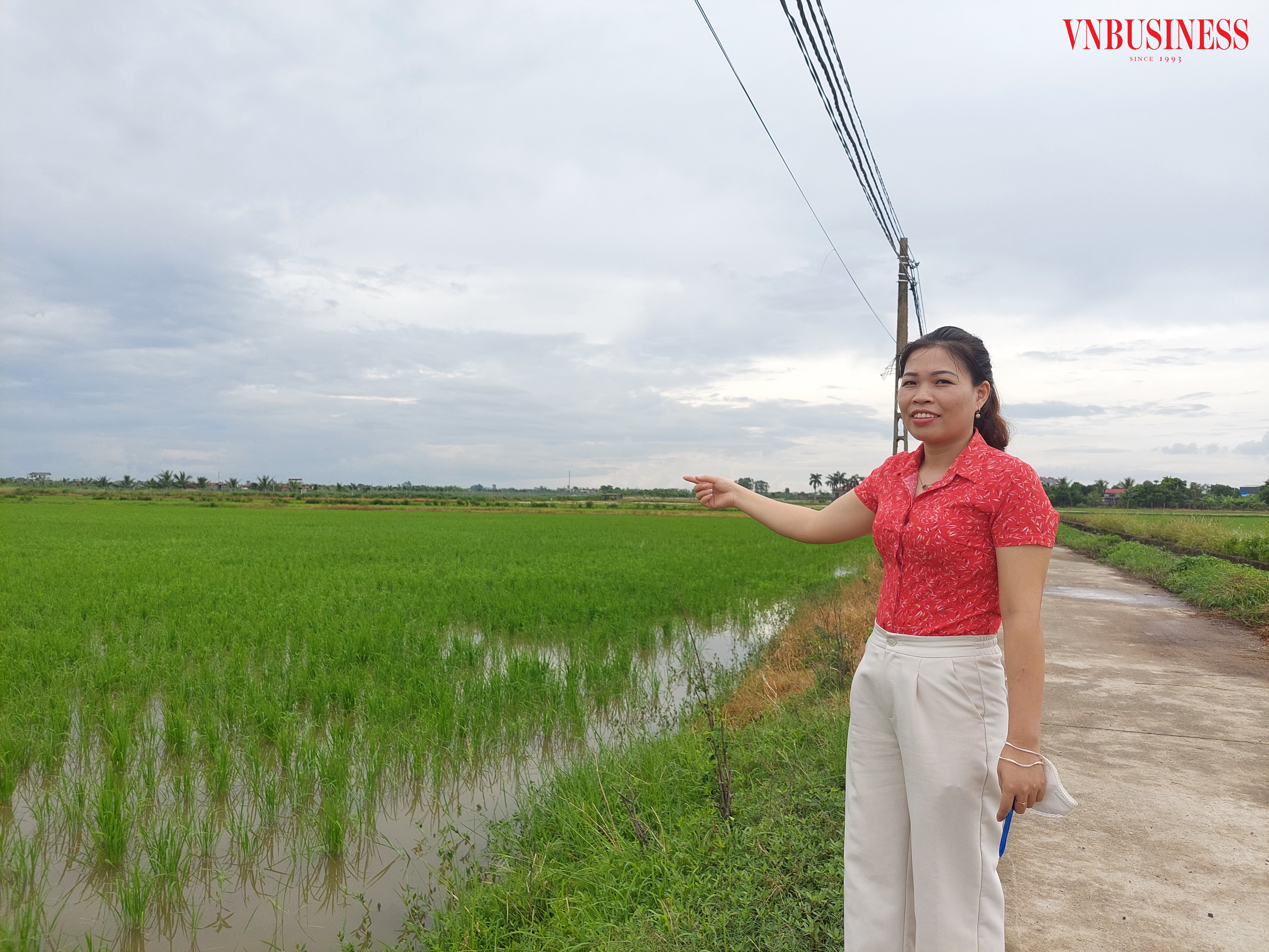 Nỗ lực khắc phục tình trạng ruộng bỏ hoang ở xã Chiến Thắng