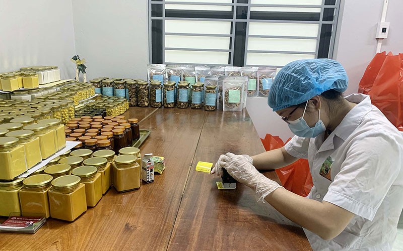 Đa dạng hình thức tổ chức sản xuất, thúc đẩy xây dựng nông thôn mới