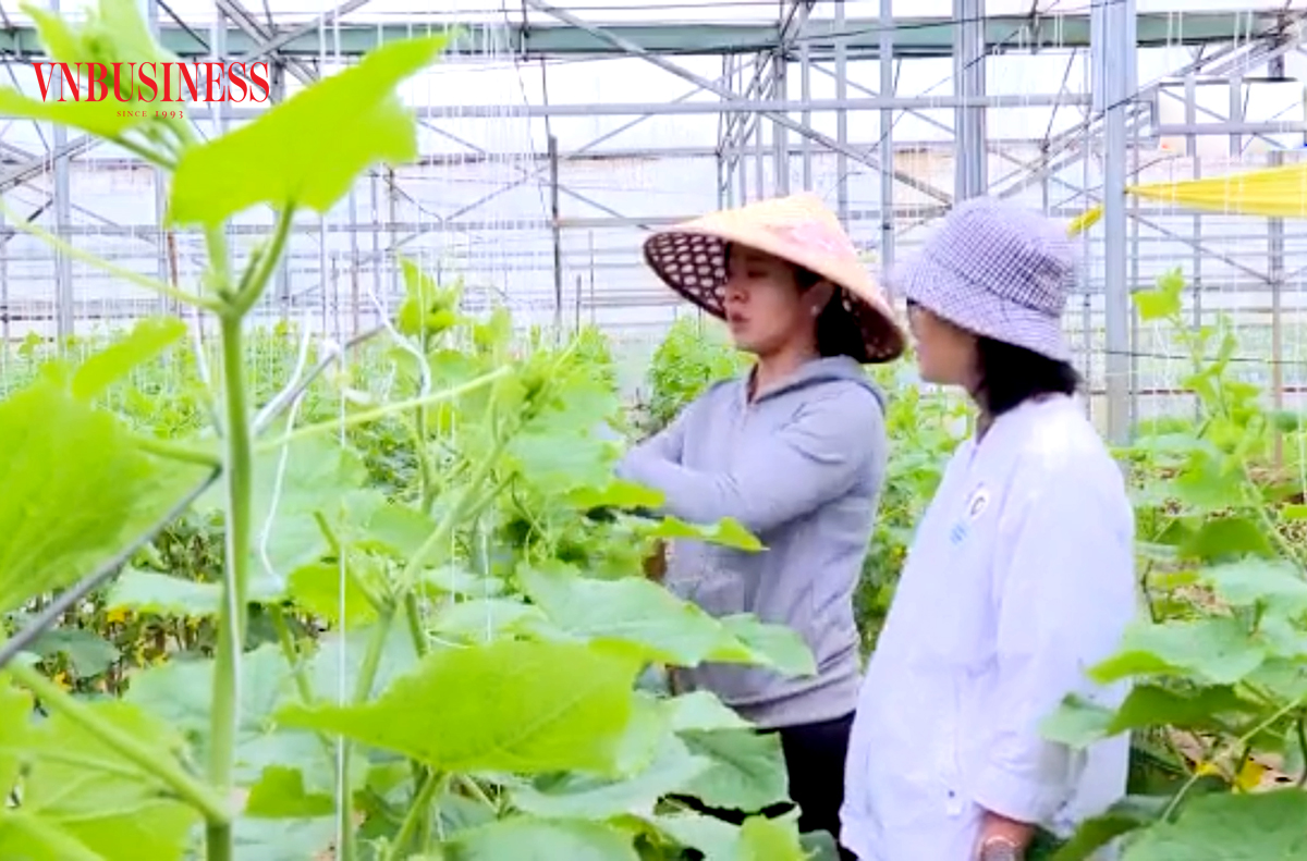Đổi mới tư duy, sản xuất hiện đại để làm giàu