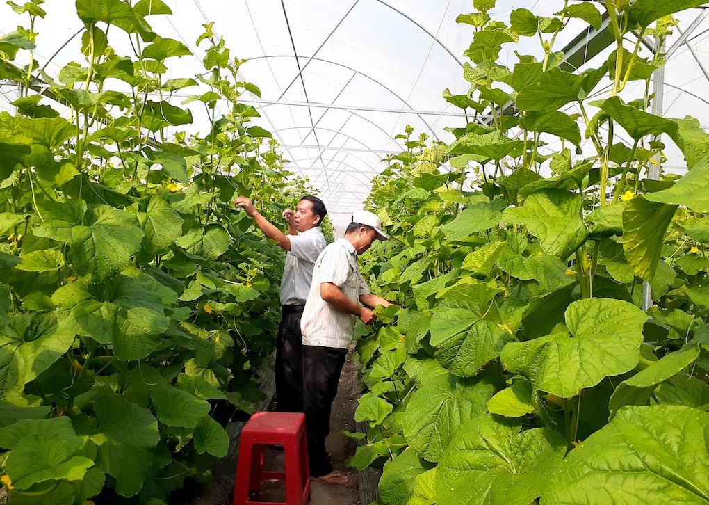 Giảm nghèo ở Hớn Quản cần sự nỗ lực nhiều hơn của kinh tế hợp tác