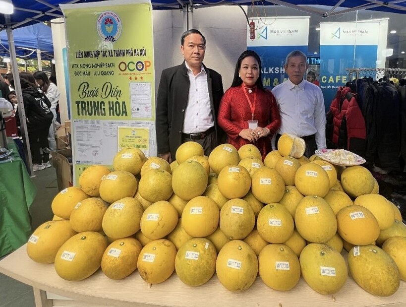 Liên kết hàng hóa giúp nông thôn mới 'làm tới đâu, chắc tới đó'