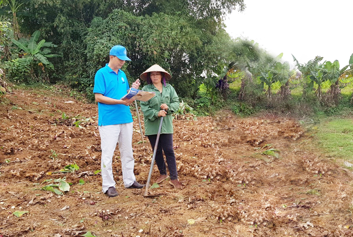Người dành trọn tâm huyết cho công tác BHXH ở Hòa Bình