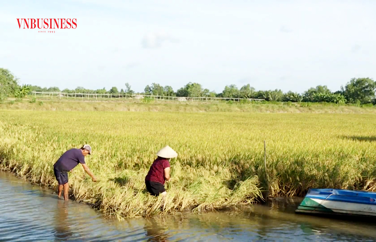 Chờ 'cú nước rút' trong xây dựng nông thôn mới ở Trà Cú