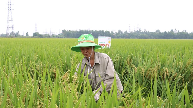 Nông thôn mới hướng đến nâng cao thu nhập cho người dân