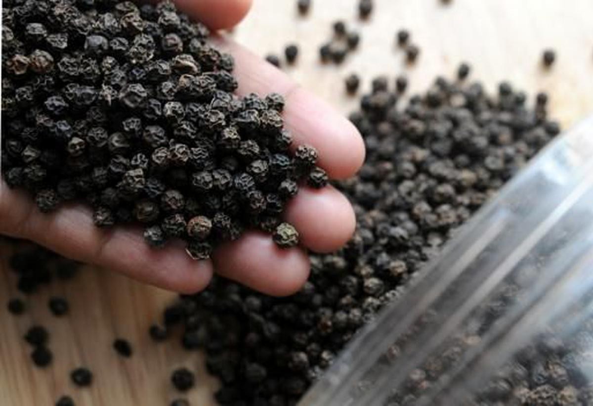 Xuất khẩu tiêu sang thị trường Trung Quốc tăng gần 700% trong 7 tháng đầu năm