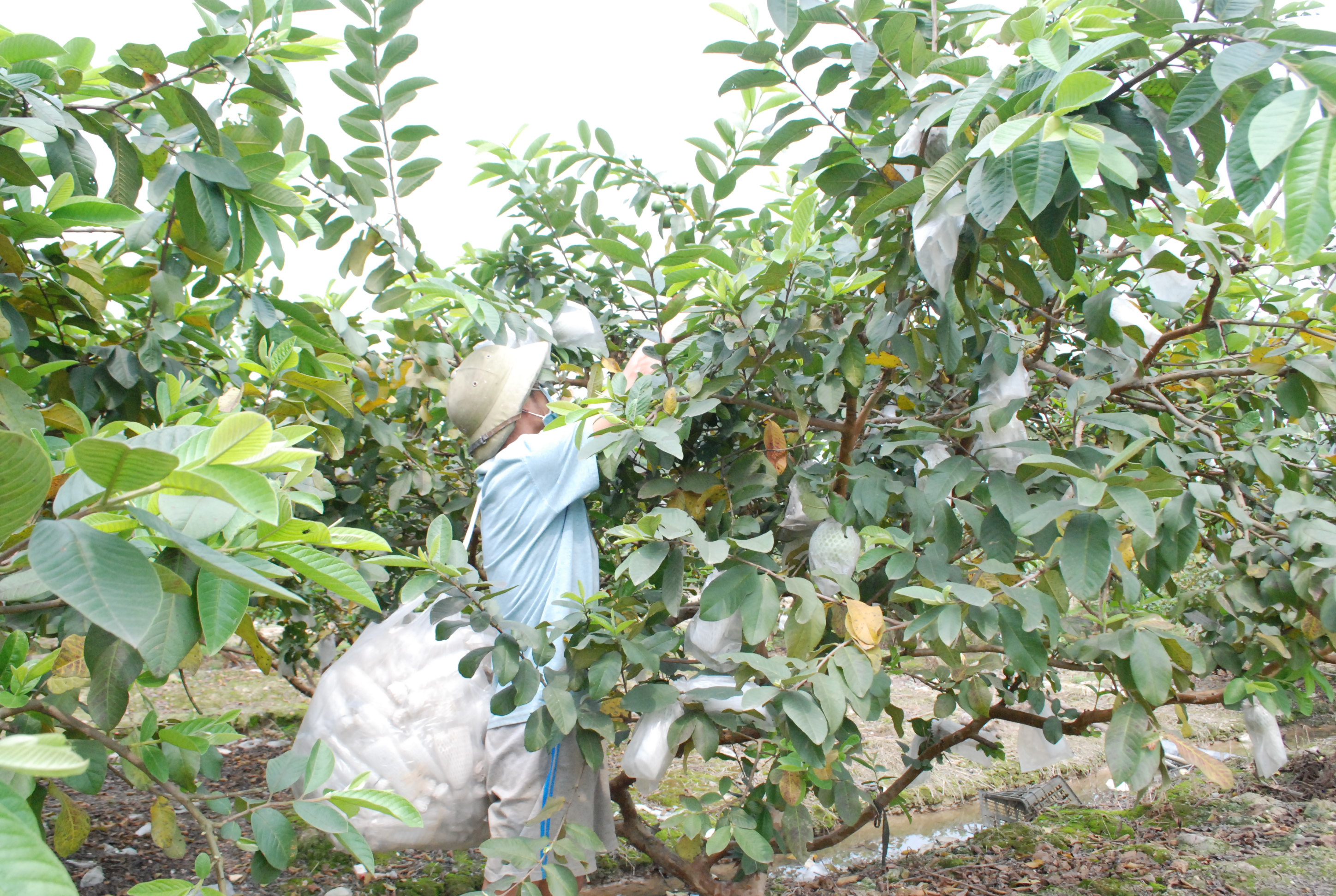 Đổi thay cuộc sống nhờ bước chuyển nghề phù hợp