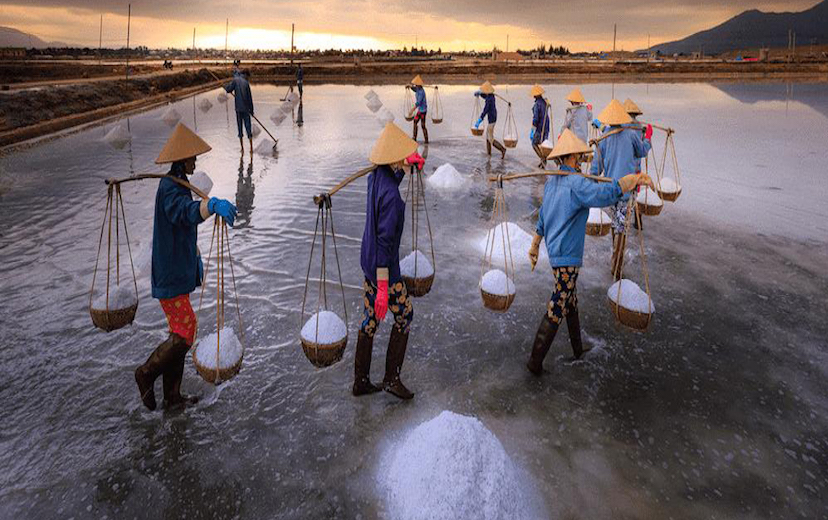 Việt Nam phải chi hàng tỷ USD để nhập muối, đại biểu Quốc hội chất vấn Bộ trưởng Bộ NN&PTNT