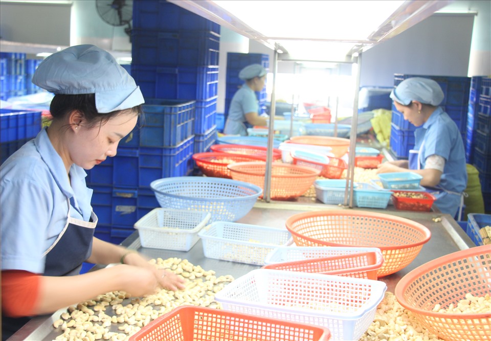 Thấy gì từ việc phụ thuộc nguyên liệu ngoại từ hạt muối đến linh kiện, phụ tùng