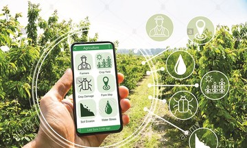 Phát triển nông nghiệp hiện đại từ ứng dụng công nghệ số