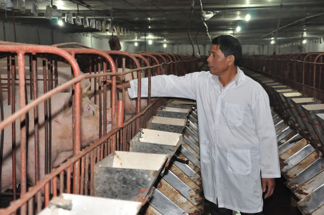 Thanh Oai: Đích nông thôn mới nâng cao không còn xa