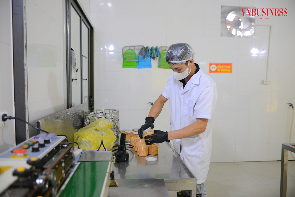 HTX vùng cao 'biến nguy thành cơ' để khẳng định thương hiệu cá hồi - cá tầm thượng hạng