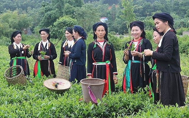 Đồng bào Công giáo phát triển kinh tế, phát huy tinh thần bác ái