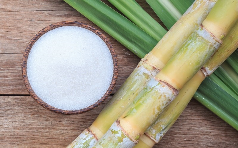 Cổ phiếu mía đường đua nhau bùng nổ
