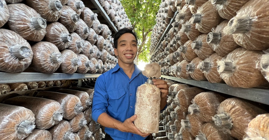 Giảm nghèo Phù Mỹ kỳ vọng vào mô hình mới của các HTX