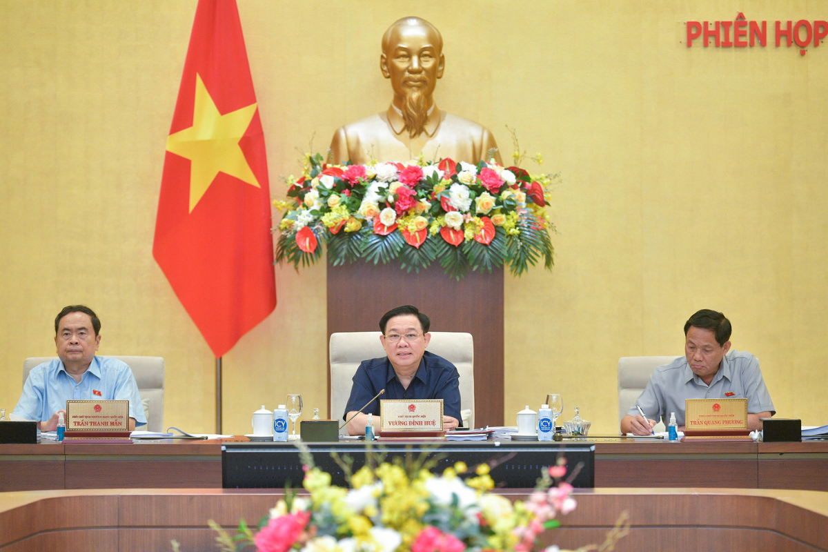 Luật Đất đai (sửa đổi): Không nên gắn việc thu hồi đất với đấu giá, đấu thầu đất đai