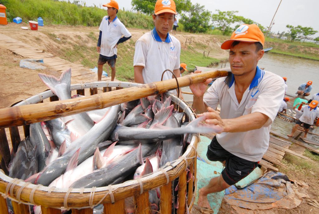 Chờ ‘van điều tiết’ giá vật tư đầu vào cho ngành thủy sản