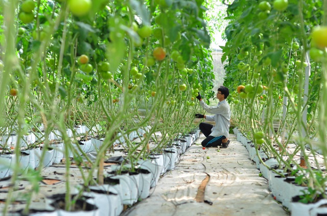 Đẩy nhanh tiến trình xây dựng NTM từ nông nghiệp thông minh
