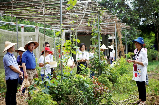 Đánh thức 'mỏ vàng' du lịch nông nghiệp, nông thôn