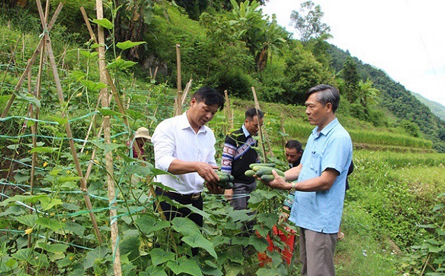 Tạo sinh kế thoát nghèo trên vùng đất khó