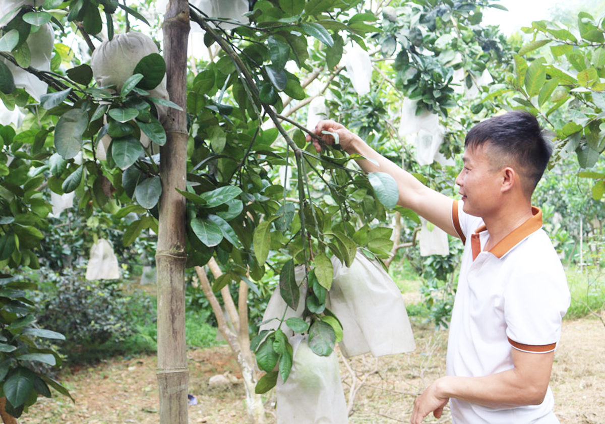 Niềm vui ở Đồng Hỷ khi có thêm nhiều 'tỷ phú nông dân'
