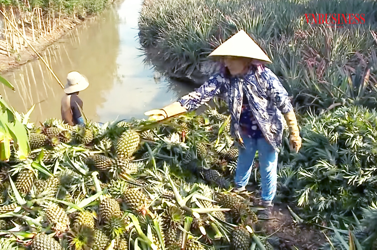 Những "mũi nhọn" xây dựng nông thôn mới ở Hỏa Tiến