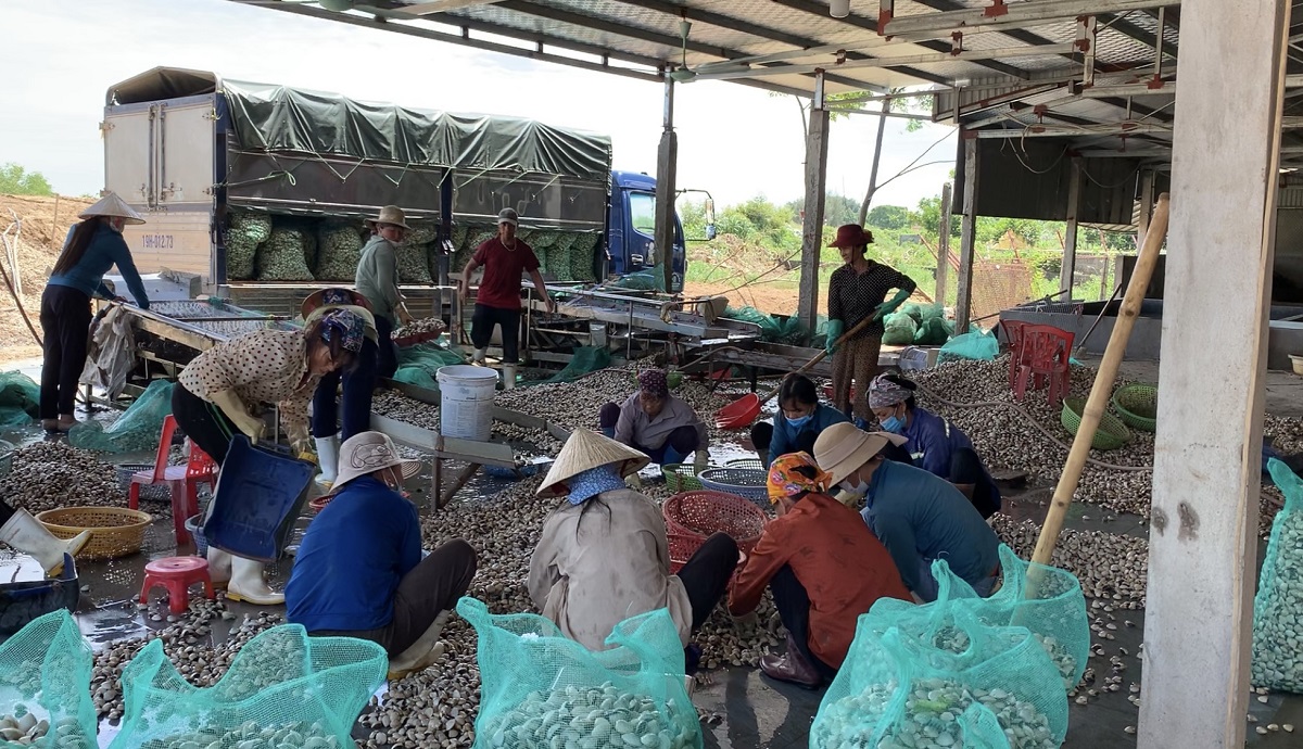Đa Lộc tận dụng lợi thế vùng ven biển tiến tới xây dựng nông thôn mới nâng cao