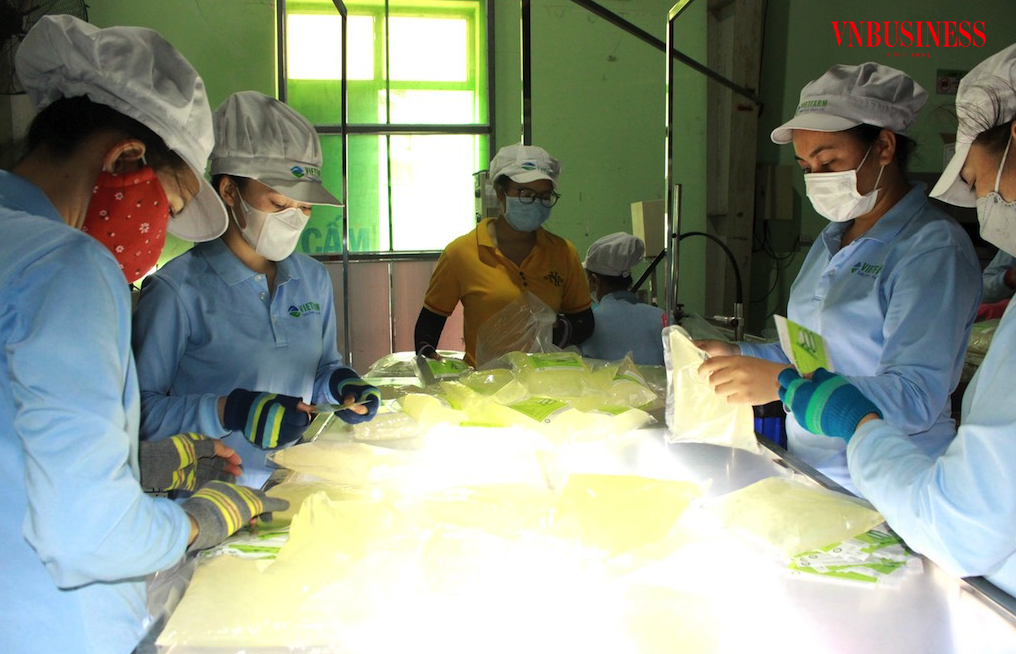 Tạo ‘chuyển dịch xanh’ cho doanh nghiệp Việt thoát mối nguy tụt hậu