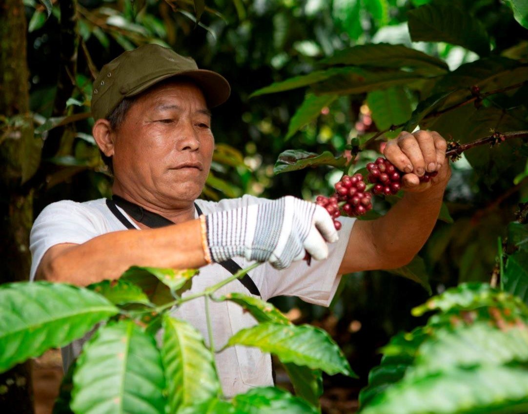 Triển vọng nông thôn mới Cư K’nia
