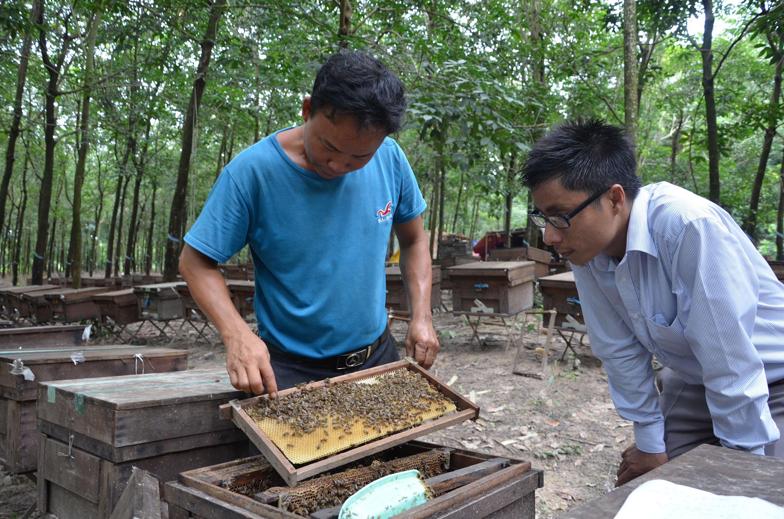 Hình thành lực lượng lao động nông thôn chuyên nghiệp