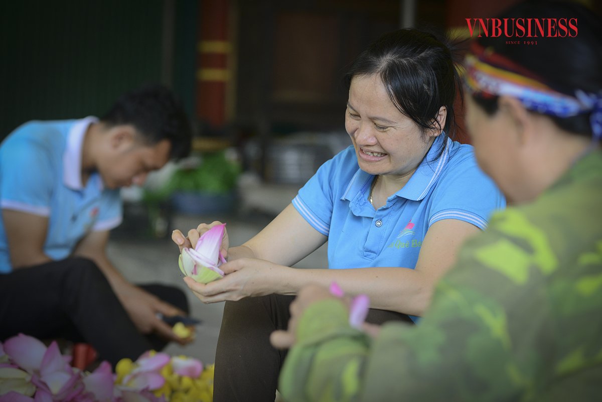 Đưa 'giấc mơ sen' ở làng Sen đi xa hơn