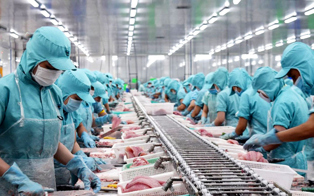 Động lực nào để cổ phiếu thủy sản ‘ngược dòng’?