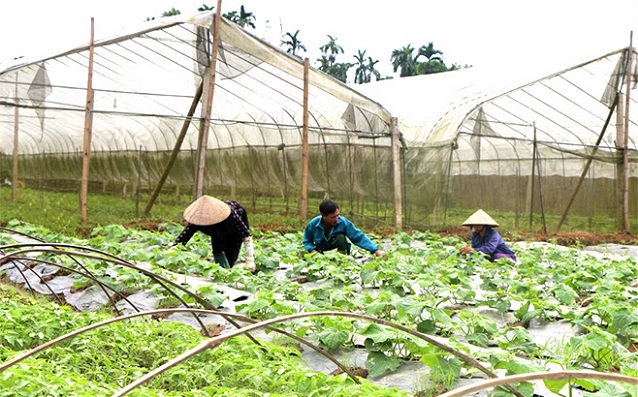 Đảm bảo tiêu chí môi trường bền vững trong xây dựng nông thôn mới