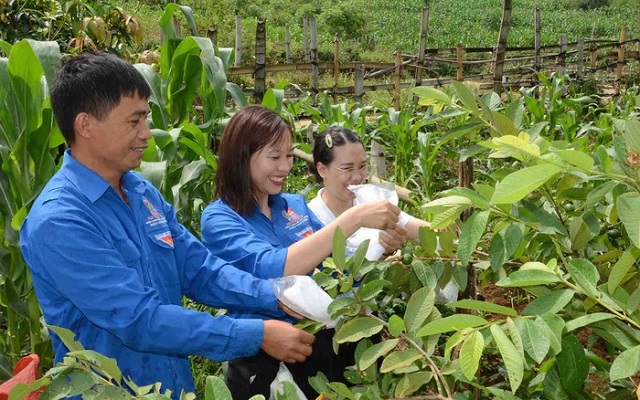 Sức trẻ thổi bùng ngọn lửa khởi nghiệp, vươn lên thoát nghèo