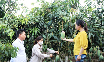 Xây dựng NTM gắn với ứng dụng công nghệ cao trong sản xuất