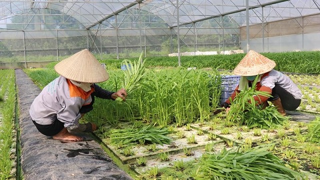 Xây dựng NTM từ sự gắn kết giữa nông thôn và đô thị