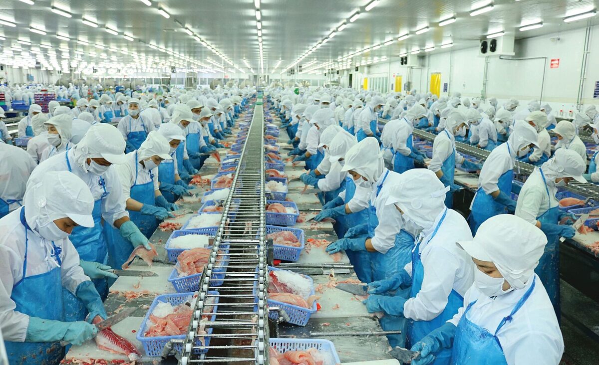 Cổ phiếu thủy sản đang trên đà lấy lại ‘vị thế’?