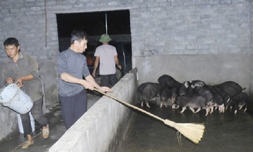 Vươn lên phát triển kinh tế trên vùng đất khó