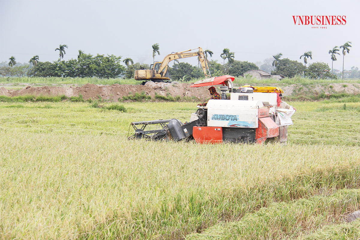 Có nông nghiệp sạch, nông thôn Yên Khánh 'thay áo mới'