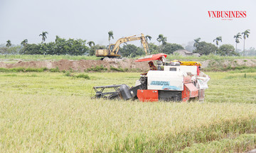 Có nông nghiệp sạch, nông thôn Yên Khánh &#039;thay áo mới&#039;