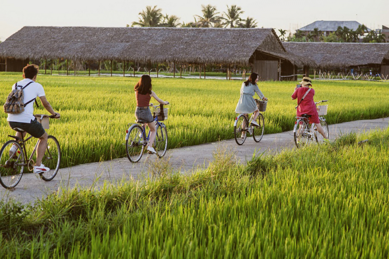 Để 'miền đất hứa