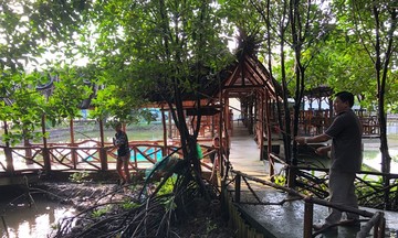 Đất Mũi &#039;nở hoa&#039; giúp người dân cắt đuôi cái nghèo
