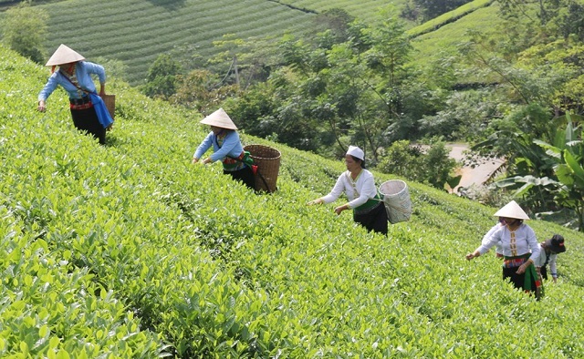 Khởi sắc nông thôn bản làng Phú Thọ