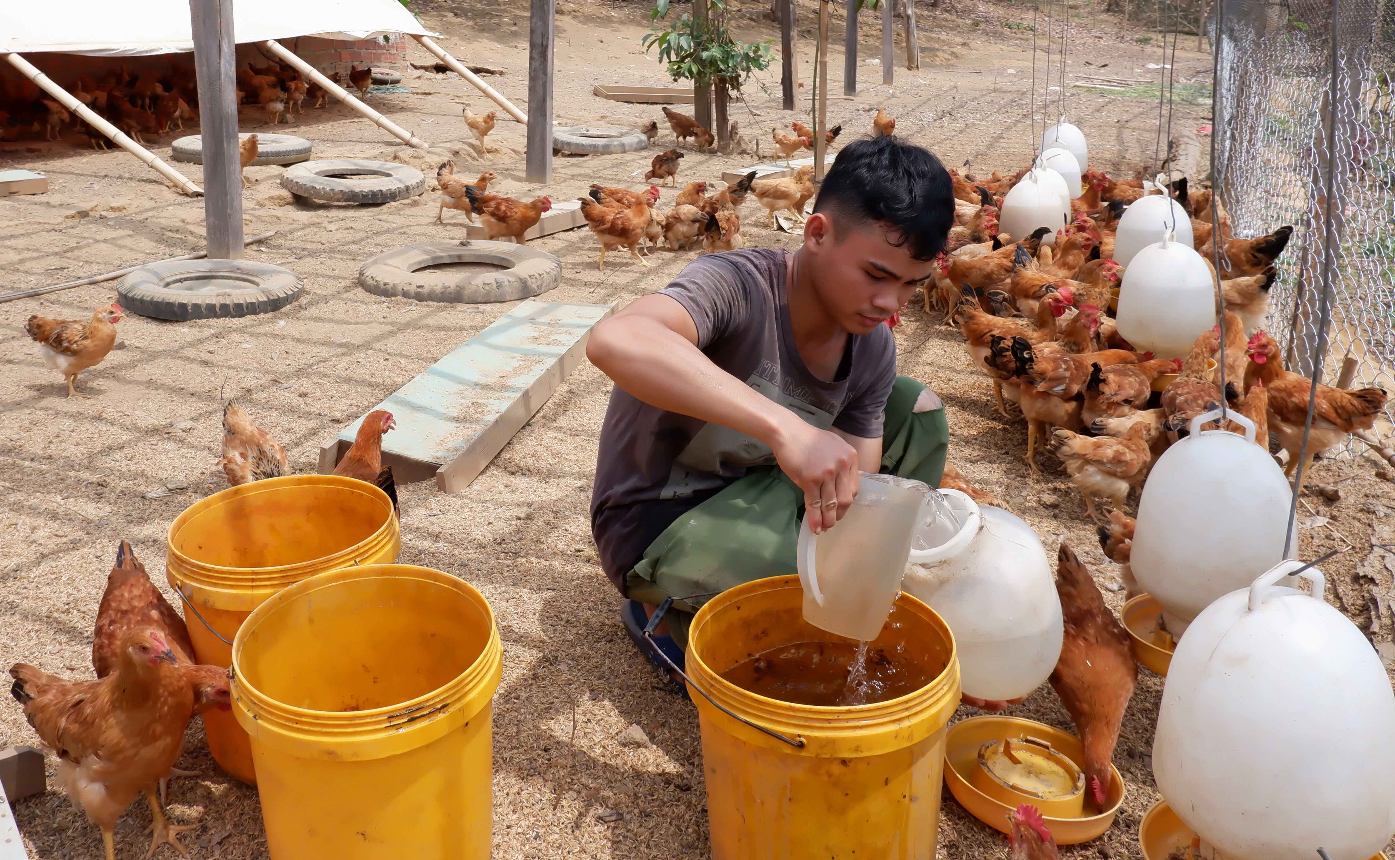 Kinh tế hàng hóa làm dịu cái nghèo miền biên viễn