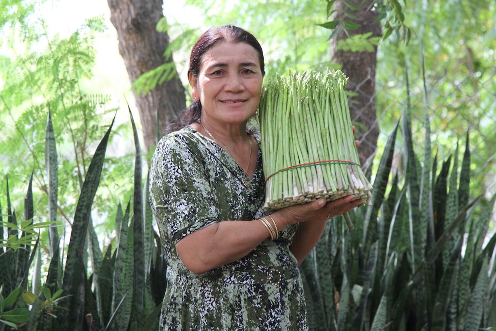Liên kết chuỗi măng tây xanh giúp thoát nghèo bền vững cho người dân Ninh Phước
