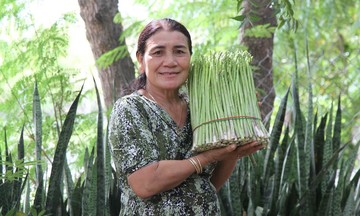 Liên kết chuỗi măng tây xanh giúp thoát nghèo bền vững cho người dân Ninh Phước