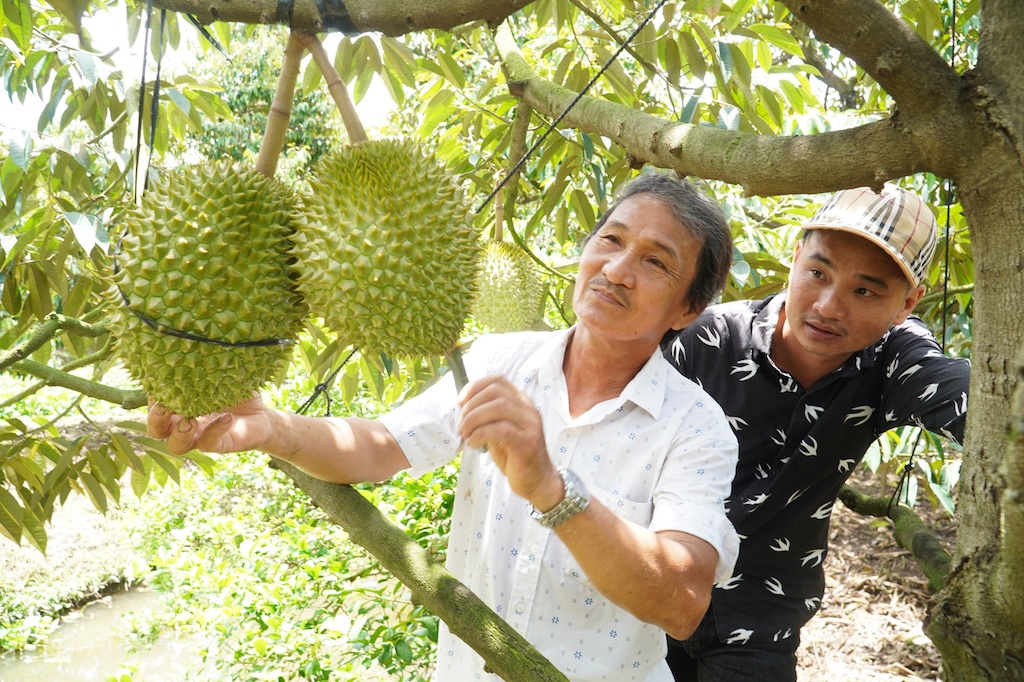 Sức bật mới từ kinh tế hợp tác giúp nông thôn mới Cẩm Mỹ vươn tầm cao