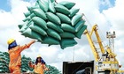 Xuất khẩu rau quả, gạo... tăng mạnh giúp nông lâm thủy sản thu về 38 tỷ USD