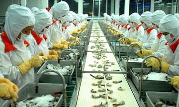 Đơn hàng quay trở lại, doanh nghiệp lấy lại &#039;phong độ&#039; vào giai đoạn cuối năm